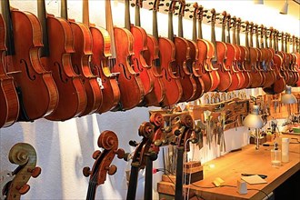 Violins in a row
