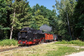 Steam Train Oechsle Museum Railway Railway Steam Railway near Maselheim