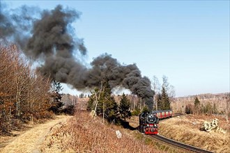 Steam train of the Brockenbahn railway leaving Drei Annen Hohne