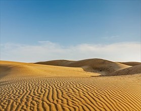 Dunes of Thar Desert. Sam Sand dunes
