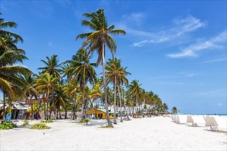 Beach Playa Spratt Bight Travel Holiday Vacation with Palm Trees by the Sea on San Andres Island in Colombia