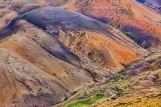 Colors of Himalayas. Spiti valley
