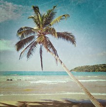 Vintage retro hipster style travel image of tropical paradise idyllic beach with palm with grunge texture overlaid. Sri Lanka