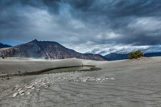High dynamic range image of sand dunes in Himalayas. Hunder