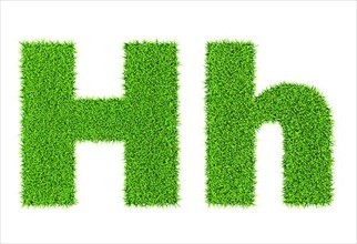 Grass letter H