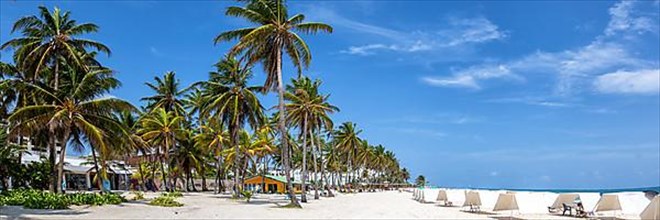 Beach Playa Spratt Bight Travel Holiday Vacation with Palm Trees by the Sea Panorama on San Andres Island in Colombia