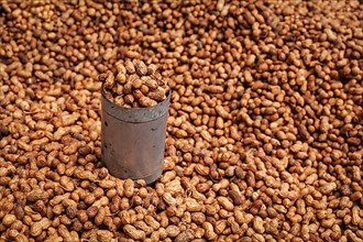 Fried peanuts sold in Indian street
