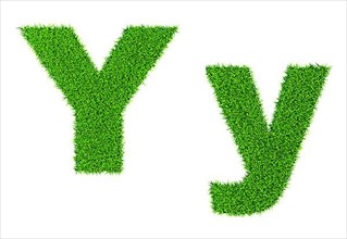 Grass letter Y