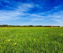 Summer meadow with blu sky Bavaria