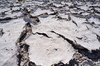 Drought mud patterns with cracks on the ground