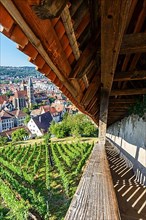 View of the town of Esslingen from Seilergang with historic town hall and church Travel in Esslingen