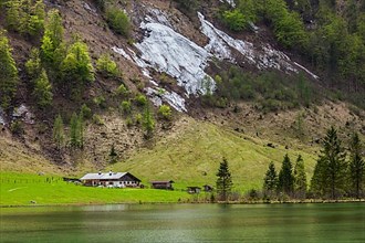Farm house on mountain lake Obersee lake in spring. Bavaria
