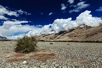 Himalayan landscape in Nubra valley in Himalayas. Ladakh