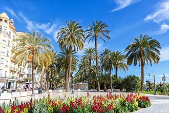 Alacant Boulevard Esplanada dEspanya Holiday Travel City in Alicante