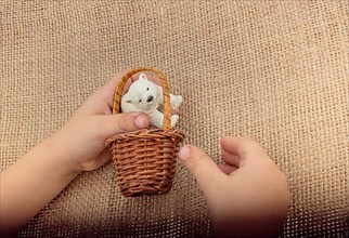 Hand holding a Polar bear model in hand on canvas