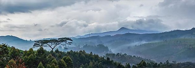 Panorama of cloudy morning in hills with lonely tree on sunrise in hills. Kerala