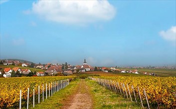View of the wine village of Weyher