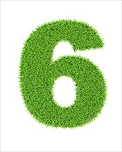 Grass number 6 six