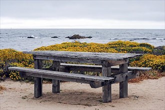 Wooden table and bench near the ocean on 7 Mile Drive. 17 Mile Drive is a scenic road through Pebble Beach and Pacific Grove on the Monterey Peninsula in Northern California