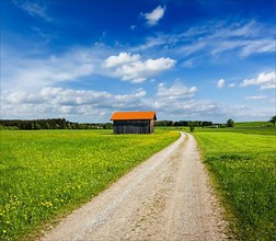 Rural road in summer meadow with wooden shed. Bavaria