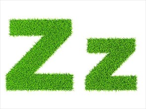 Grass letter Z