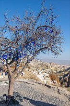 Tree with Nazar amulets