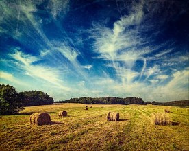 Vintage retro hipster style travel image of Agriculture background