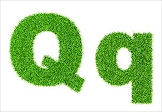 Grass letter Q