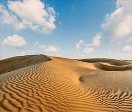 Dunes of Thar Desert. Sam Sand dunes