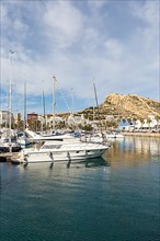 Alicante Port dAlacant Marina with boats and view of Castillo Castle Holiday travel city in Alicante