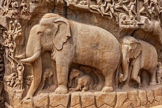 Elephants on descent of the Ganges and Arjuna's Penance ancient stone sculpture