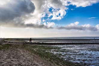 Walkers on the Wadden Sea in autumn