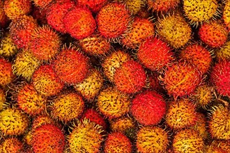 Tropical fruit rambutan close up in Cambodian market