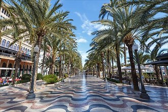 Alicante Alacant Boulevard Palm Avenue Esplanada dEspanya Vacation Travel Travel City in Alicante