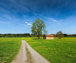 Rural road in summer meadow with wooden shed. Bavaria