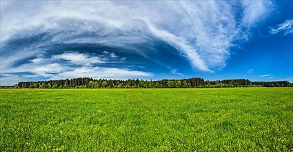 Panorama of Summer meadow. Bavaria