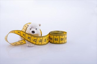 Polar bear surrounded by Measuring tape on a white background