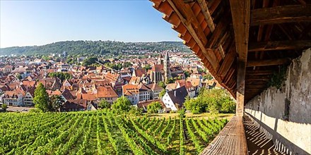 View of the town of Esslingen from Seilergang with historic town hall and church Reise reisen Panorama in Esslingen