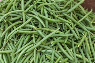 Market stall with green common bean