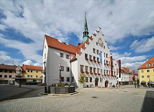 St. George's Fountain and Town Hall