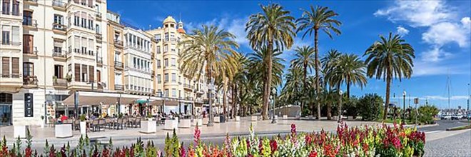 Alacant Boulevard Esplanada dEspanya Vacation Travel City Panorama in Alicante