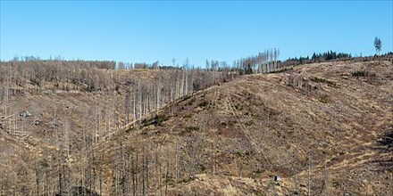 Environmental Destruction Climate Crisis Climate Change Environment Destruction Panorama Landscape Nature Forest Dieback at the Brocken in the Harz Mountains