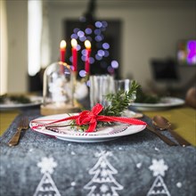 Decorated plate christmas tablecloth