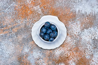 Top view of porcelain bowl with fresh blueberry