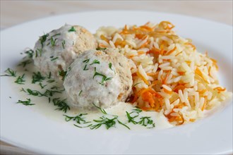 Close-up view of meatballs with rice and carrot