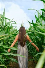 Rear view of a woman in sundress walking through the corn field