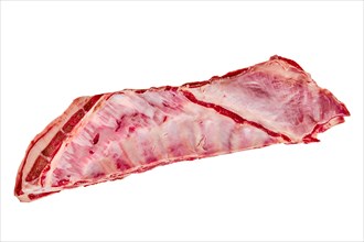 Fresh raw lamb breast and flap isolated on white background