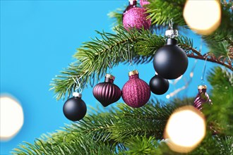 Close up of purple and black glass tree bauble with decorated Christmas tree with other seasonal tree ornaments on blue background and christmas light bokeh in foreground