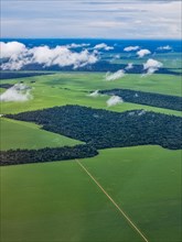 Aerial of the giant soy fields around Sinop