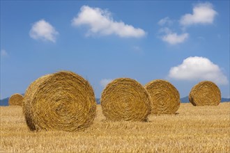 Stubble field with straw rolls